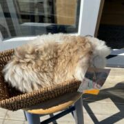 Sheepskin Innersoles