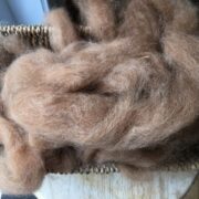 ALPACA Fibre Ginger
