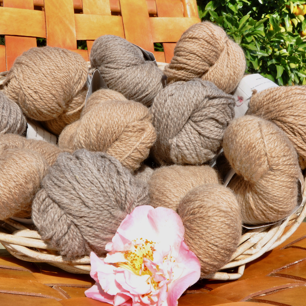 Aran